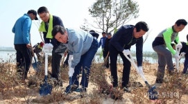 전남도, 영암 모정마을 마을숲 복원사업 착수