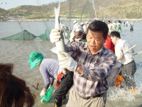 진도 청용어촌마을서 7일 개매기 체험