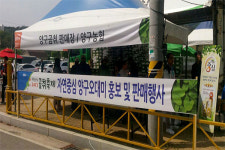 강원농협, 곰취축제 기간 중 양구오대미 판매·홍보