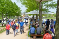 순천관광지 연휴기간 53만여명 찾아와