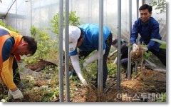 구성농협, 휴일 반납···농촌 일손돕기 구슬땀