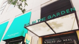 [유경아의 #먹스타그램] ‘건강한 돼지가 될게요’… SPC표 샐러드집 ‘피그인더가든’