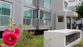 [포토] 현충일 태극기 게양한 강릉 아파트