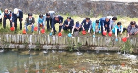화순군, 환경의 날 만연천에 토종 물고기 방류