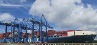 한국 조선, 두 달째 수주 1위…부활 뱃고동 울리나