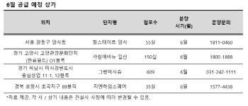 아파트 잘 팔린 곳, 상가 분양에도 투자자 몰려