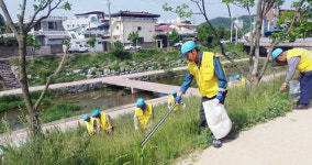 영동군, 지역노인 일자리…사회활동 지원 호응