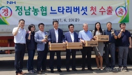 경기농협, 화성시 느타리버섯 미국 첫 수출 쾌거