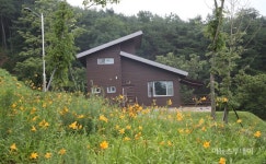 지리산 숲속 수목가옥, 야생화 만발