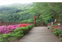 칼봉산 자연휴양림, 뜨거운 인기 中… 네티즌 여름 막바지에 가고 싶어