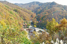 민주지산 자연휴양림…힐링·재충전 시간 가지세요