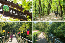 강원도에서 즐기는 한가위 보름달 캠핑