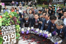 광명시, ‘2017 광명동굴 대한민국 와인 페스티벌’ 개최