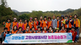강원농협·강원고향사랑봉사단, 농촌일손 돕기