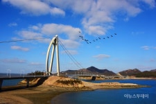 목포대교 해상교량 사진전 대상 차지