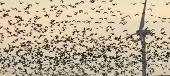 태양광판 화재시 물 뿌리면 불 커져…위험 감추는 정부