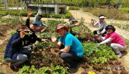 수원시농기센터, 도시생태농업 활성화 사업 공모