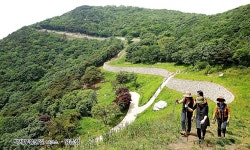 충남도내 55개 1100㎞ 걷는 길 종합관리 나선다