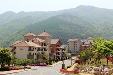 영월 동강시스타 기업회생 인가여부 내달 14일 결론