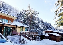 자연휴양림, 평창 동계올림픽 자원봉사자 숙소 제공