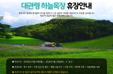 대관령 하늘목장, 26~29일 임시휴장