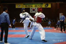 용인대총장기 전국태권도대회 2일 해남서 개막