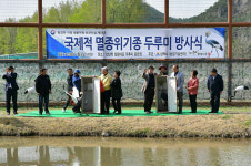 [포토] 삼척 천년학 힐링타운 개장식
