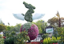 [포토] 꽃으로 표현된 정상회담 성공기원 조형물