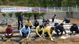 안양범죄피해자지원센터 주말농장 힐링팜 농사시작