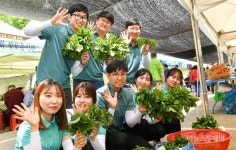 ‘향긋한 봄내음 가득’…정선 곤드레 산나물 축제