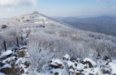 [포토] 5월의 아름다운 태백산 설경