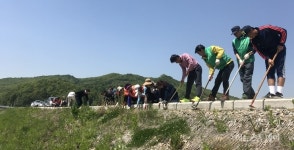 용인시 모현읍, 경안천 2.3km ‘코스모스’ 씨앗 파종