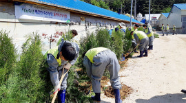 강원농협·나눔축산 ‘Clean Farm 만들기 운동’ 실시