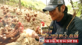 서민갑부 방사 유정란으로 연매출 15억… 500원의 기적