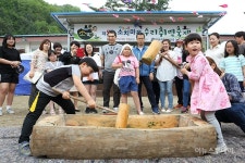 인제 소치마을 수리취떡축제 내달 2일 개최