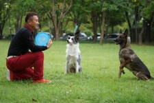 반려동물과 함께 즐기는 축제 ‘하이원 펫스티벌’ 개최