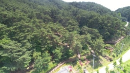 평창군 남산 ‘다함께 나눔길’ 인기…하루 200명 방문