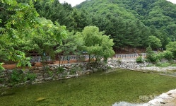 횡성 선바위자연캠핑장 6일 개장…캠핑족 관심 집중