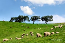 ‘KTX 타고 평창 여행 가즈아!’…평창군, 관광택시 서포터즈