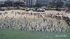[포토] 오징어를 잡아라…속초 오징어맨손잡기 축제