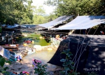 수락산 청학동 계곡 불법 좌판 영업으로 멍들다