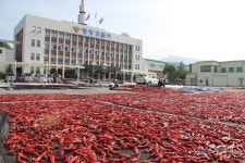 붉게 물든 평창경찰서…15년째 주차장 개방