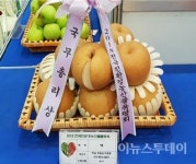 영암 기능성 기찬배, 친환경 유기농박람회 ‘국무총리상’