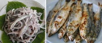 보성전어축제 31일 율포솔밭해변서 개최