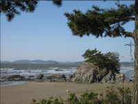 문화포털, 우리 집의 행복을 확인하는 문화 휴가 소개