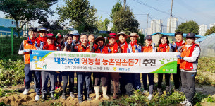 대전농협, 고구마 농가 일손돕기 구슬땀