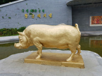 가을 돝섬엔 꽃무릇 피고 바람개비가 난다.
