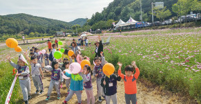 제5회 장동계족산 코스모스축제 개막