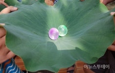 성남시, 율동공원서 오감 만족 숲 체험 교실