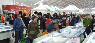 횡성한우축제 개막…“맛있는 한우 저렴하게”